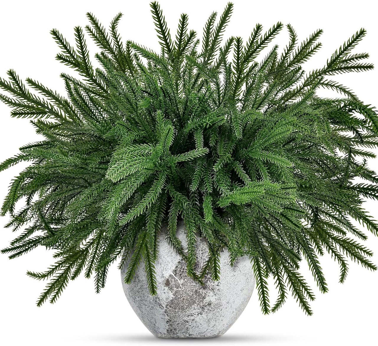 12 Pcs Christmas Norfolk Pine Branches (Green) 17"D x 22"W x 14"H